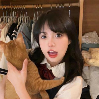 佛兰德斯的狗